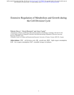 Extensive Regulation of Metabolism and Growth during the Cell