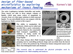 exploring mechanisms of insect feeding