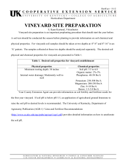 vineyard site preparation