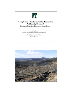 Is single tree selection suited for Tasmania&acute;s Wet Eucalypt Forests