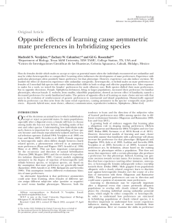 Opposite effects of learning cause asymmetric