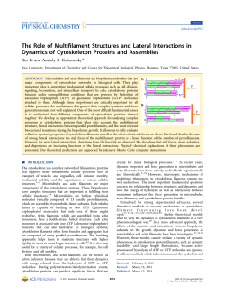 The Role of Multifilament Structures and Lateral Interactions in