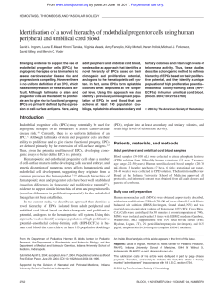 Identification of a novel hierarchy of endothelial