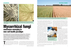 Mycorrhizal fungi awareness emerging in new soil health paradigm
