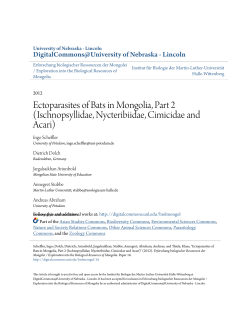 Ectoparasites of Bats in Mongolia, Part 2 (Ischnopsyllidae