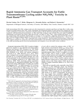 Rapid Ammonia Gas Transport Accounts for Futile