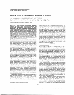 Effects of L-Dopa on Norepiilephrine Metabolism