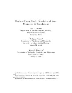 Electrodiffusion Model Simulation of Ionic Channels: 1D