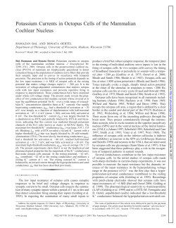Potassium Currents in Octopus Cells of the Mammalian Cochlear