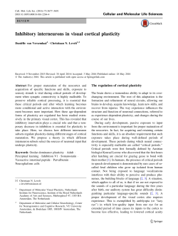 Inhibitory interneurons in visual cortical plasticity