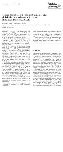Thermal dependence of isotonic contractile properties of