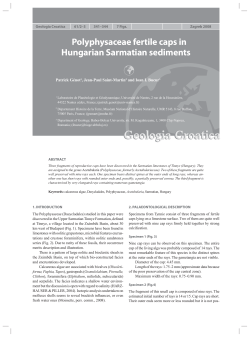 Polyphysaceae fertile caps in Hungarian Sarmatian sediments