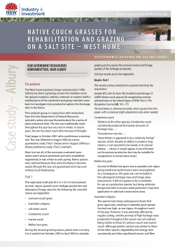 Sustainable grazing on saline lands