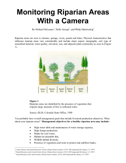 Monitoring Riparian Areas With a Camera