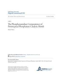The Phosphoramidase Compentency of Prototypical Phosphatase