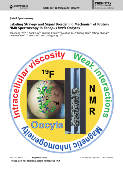Labeling Strategy and Signal Broadening Mechanism of Protein