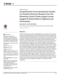 Comprehensive Immunolocalization Studies of a Putative Serotonin