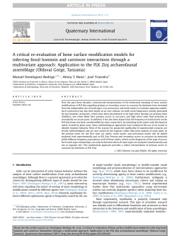 A critical re-evaluation of bone surface modification models for