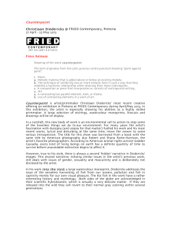 Counterpoint Christiaan Diedericks @ FRIED Contemporary, Pretoria