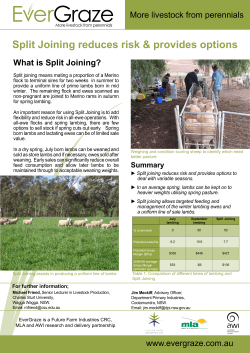 Split joining means mating a proportion of a Merino