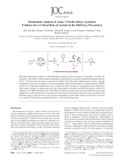 Mechanistic Analysis of Azine N-Oxide Direct Arylation: Evidence for