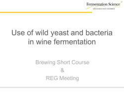 Use of wild yeast and bacteria in wine fermentation