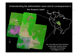 Understanding the deforestation wave and its