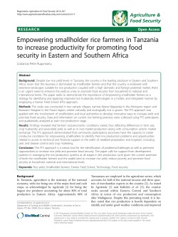 Empowering smallholder rice farmers in Tanzania to increase