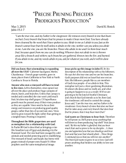 Precise Pruning Precedes Prodigious Production - fpc