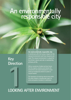 Key Direction 1 Looking After Environment