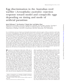 Egg discrimination in the Australian reed warbler