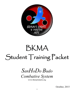 SanHoDo - Braun`s Karate and Martial Arts