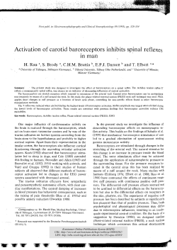 Activation of carotid baroreceptors inhibits spinal