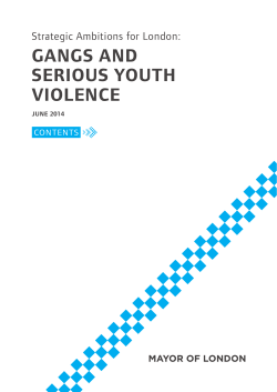 Strategic Ambitions for London &ndash; Gangs and