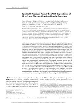 Rp-cAMPS Prodrugs Reveal the cAMP Dependence of First