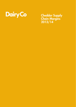cheddar supply chains aug 2014.indd