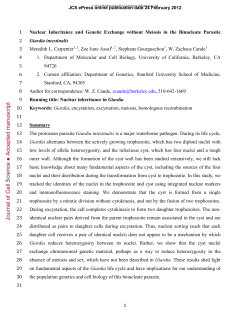 Nuclear Inheritance and Genetic Exchange without Meiosis in the