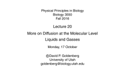 Lecture 20 More on Diffusion at the Molecular Level Liquids and