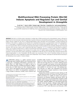 Multifunctional RNA Processing Protein SRm160 Induces