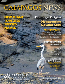 galapagos news - Galapagos Conservancy