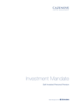 Investment Mandate