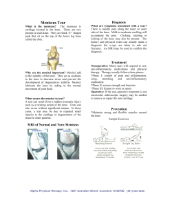 Meniscus Tear - Alpha Physical Therapy