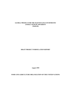 GLOBAL PROJECT FOR THE MAINTENANCE OF DOMESTIC