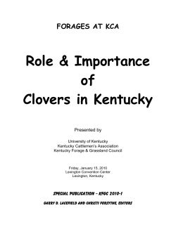 2010 Proceedings - University of Kentucky