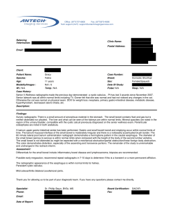 pdf - Antech Imaging Services