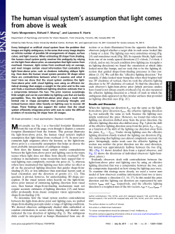 The human visual systemTs assumption that light