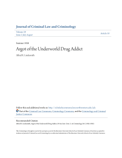 Argot of the Underworld Drug Addict
