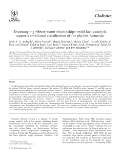 Disentangling ribbon worm relationships: multilocus analysis