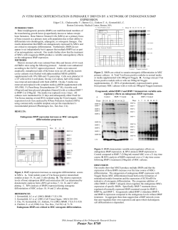 in vitro bmsc differentiation is primarily driven by a network of