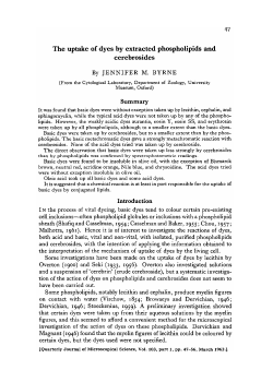 The uptake of dyes by extracted phospholipids and cerebrosides